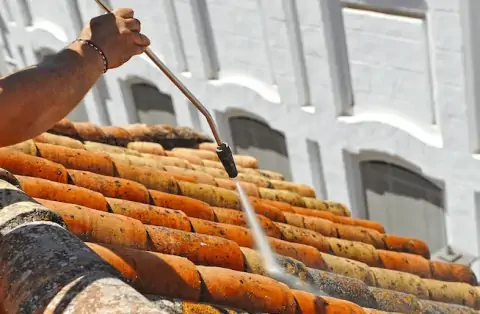 Nettoyage de toitures - Pessan